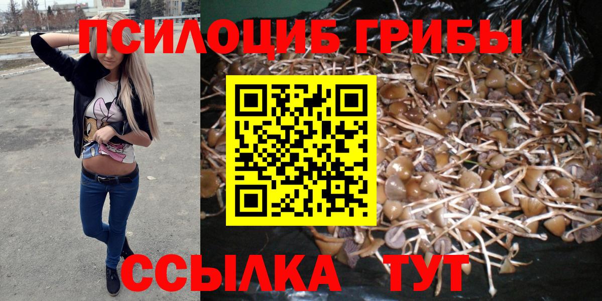 Казань  Псилоцибиновые грибы Psilocybe  Вход с VPN  Псилоцибиновые грибы Psilocybe 